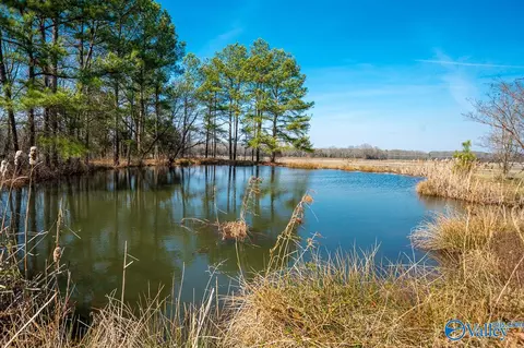 2255 County Road 362, Trinity, AL 35673 photo 9