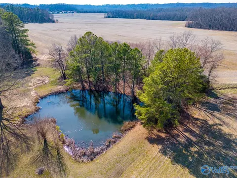 2255 County Road 362, Trinity, AL 35673 photo 8