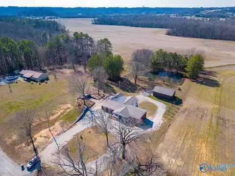2255 County Road 362, Trinity, AL 35673 photo 6