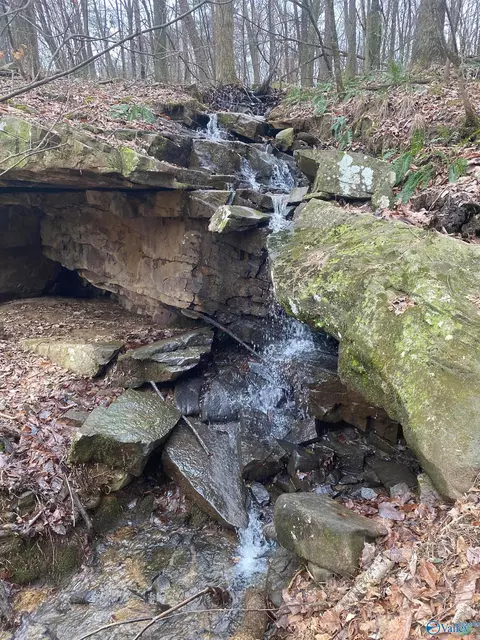 123456 County Road 121, Fort Payne, AL 35968