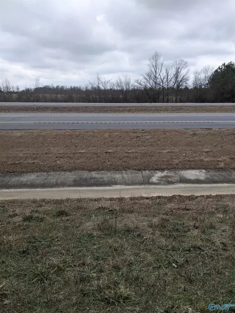 234 Newman Ave, Section, AL 35771 photo 2