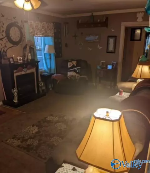 234 Newman Ave, Section, AL 35771 photo 5