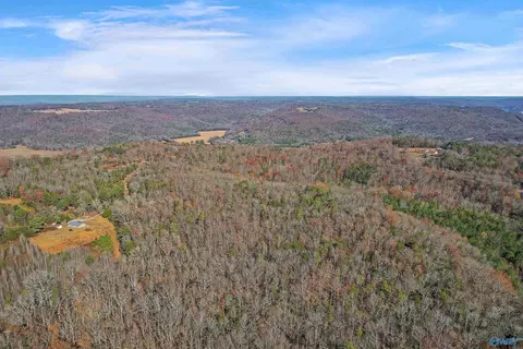 521 Wright Ln, Grant, AL 35747 photo 6