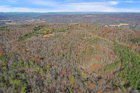 521 Wright Ln, Grant, AL 35747 photo 7