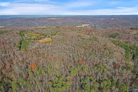 521 Wright Ln, Grant, AL 35747 photo 1