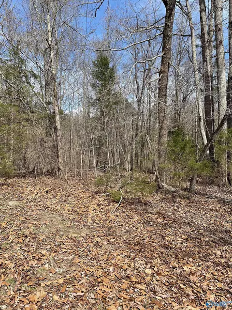 lot14 Spindletop Dr, Guntersville, AL 35976