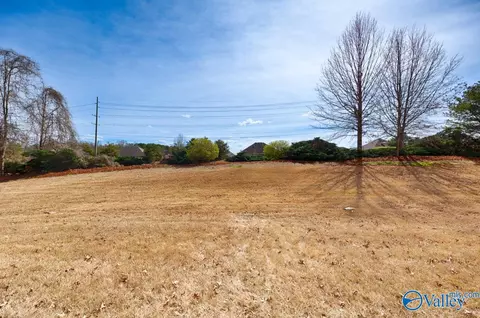 103 Woodsbrook Pl, Madison, AL 35756 photo 23