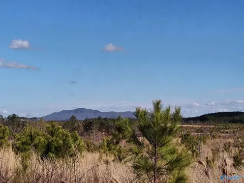 415 Acres Tom Cat Rd, Gadsden, AL 35903