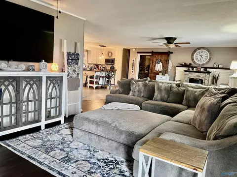 Living - 9562 County Road 434, Trinity, AL 35673 photo 7 of 9