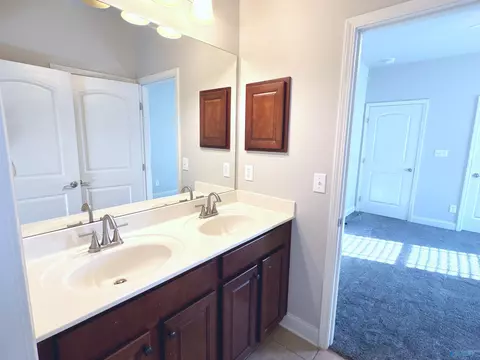 Bath - 113 Maplebrook Dr, Madison, AL 35756 photo 5 of 7