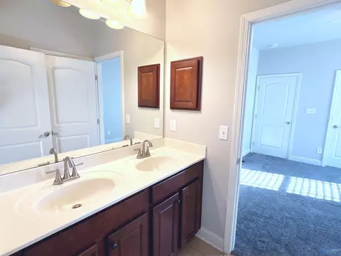 Bath - 113 Maplebrook Dr, Madison, AL 35756 photo 7 of 7