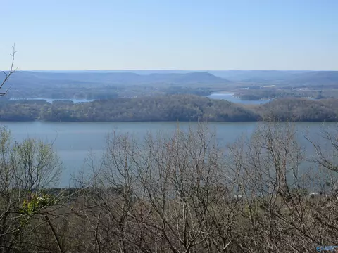 100 Scenic Dr, Section, AL 35771 photo 5