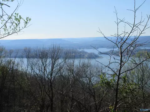 100 Scenic Dr, Section, AL 35771 photo 6