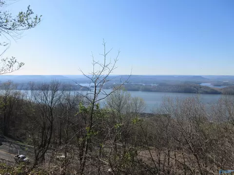 100 Scenic Dr, Section, AL 35771 photo 4