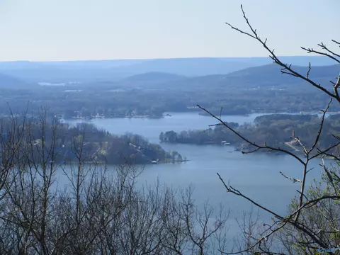 100 Scenic Dr, Section, AL 35771