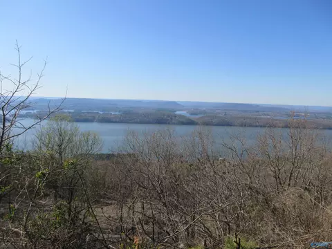 100 Scenic Dr, Section, AL 35771 photo 2