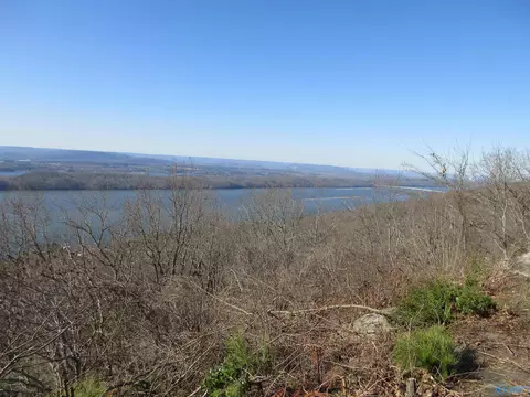 100 Scenic Dr, Section, AL 35771 photo 3