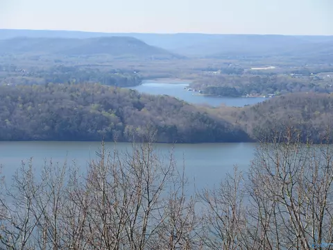 100 Scenic Dr, Section, AL 35771 photo 8