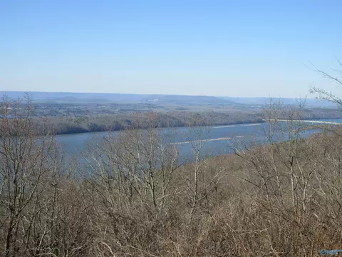 100 Scenic Dr, Section, AL 35771 photo 7