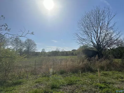 4955 County Road 434, Trinity, AL 35673 photo 10