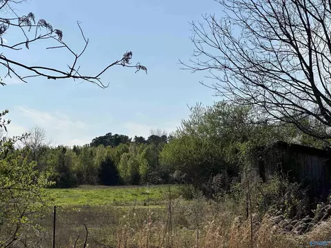 4955 County Road 434, Trinity, AL 35673 photo 13