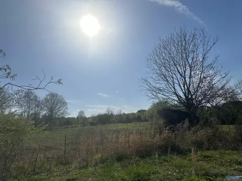 4955 County Road 434, Trinity, AL 35673 photo 11