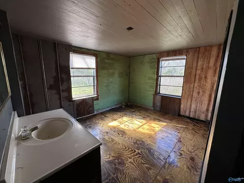 4955 County Road 434, Trinity, AL 35673 photo 28