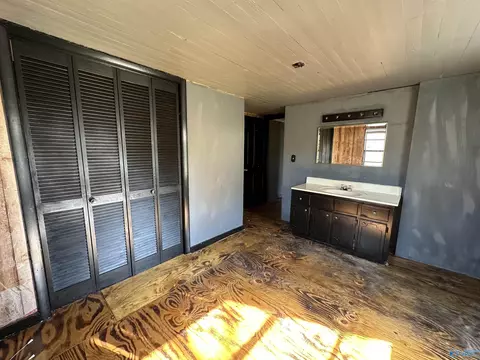 4955 County Road 434, Trinity, AL 35673 photo 29