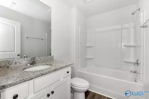 Bath - 144 Hidden River Dr, Madison, AL 35756 photo 5 of 5