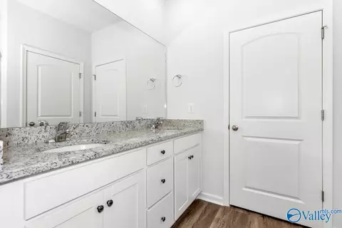 Bath - 144 Hidden River Dr, Madison, AL 35756 photo 1 of 5
