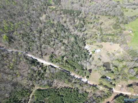 12 Acres County Road 7, Moulton, AL 35650
