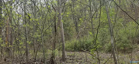 52179 Norman Ave, Attalla, AL 35954
