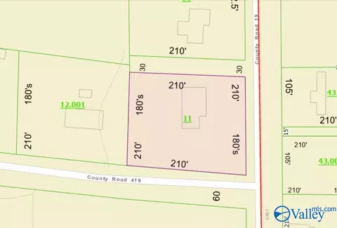 1127 County Road 419, Section, AL 35771 photo 26
