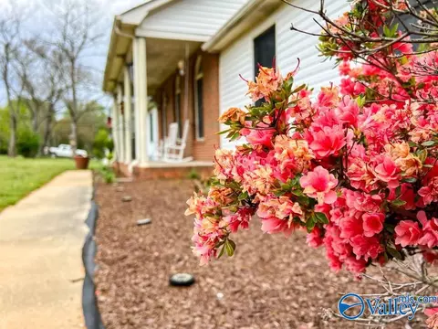 45 Mountain Brook Dr, Trinity, AL 35673 photo 1