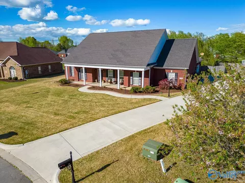 84 Mountain Cove Dr, Trinity, AL 35673 photo 42
