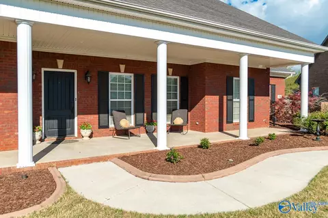 84 Mountain Cove Dr, Trinity, AL 35673 photo 1
