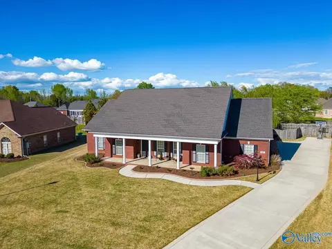 84 Mountain Cove Dr, Trinity, AL 35673 photo 43