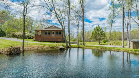 295 Section Ferry Rd, Section, AL 35771 photo 36