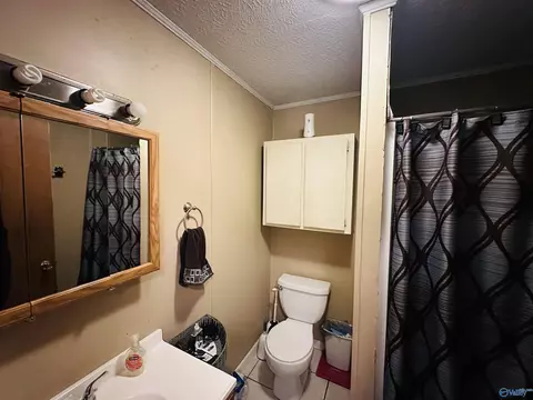 2 Oakview Ct, Centre, AL 35960 photo 14