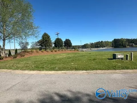 21 Willow Point Dr, Ohatchee, AL 36271 photo 6