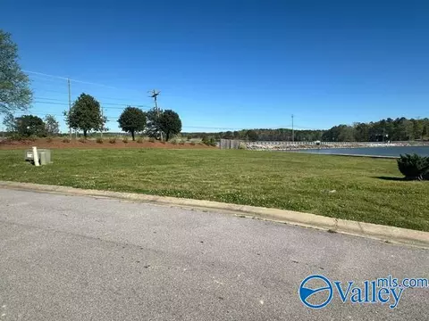 21 Willow Point Dr, Ohatchee, AL 36271 photo 5