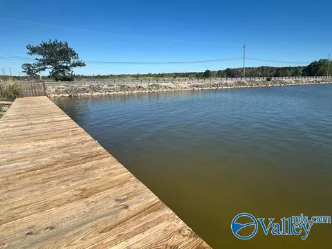 21 Willow Point Dr, Ohatchee, AL 36271 photo 9