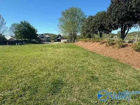 21 Willow Point Dr, Ohatchee, AL 36271 photo 7