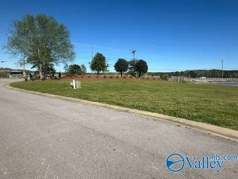 21 Willow Point Dr, Ohatchee, AL 36271 photo 3