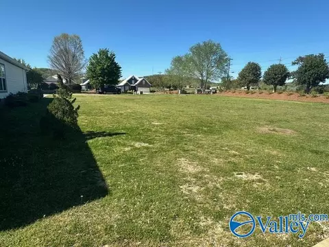 33 Willow Point Dr, Ohatchee, AL 36271 photo 3