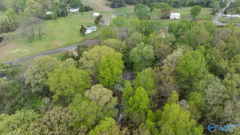 2838 County Road 316, Trinity, AL 35673 photo 33