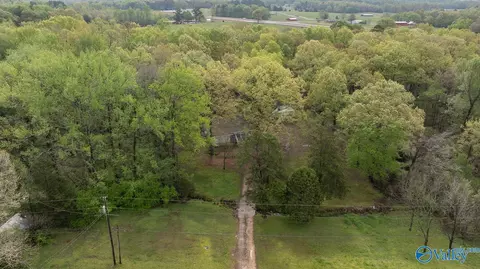 2838 County Road 316, Trinity, AL 35673 photo 29