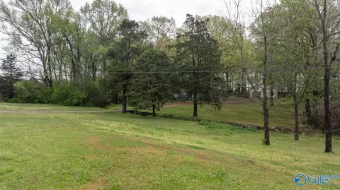 2838 County Road 316, Trinity, AL 35673 photo 40