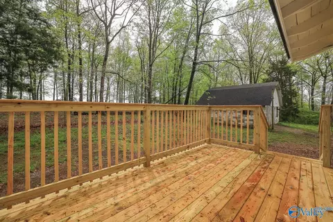 2838 County Road 316, Trinity, AL 35673 photo 22