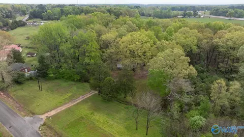 2838 County Road 316, Trinity, AL 35673 photo 30